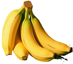 Бананы