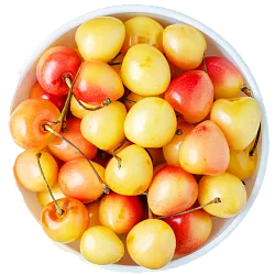 Черешня белая