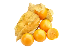 Физалис очищенный