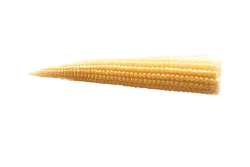 Кукуруза мини