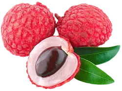 Личи