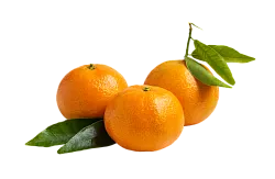 Мандарины Израиль