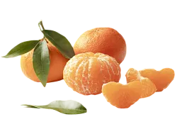 Мандарины Марокко