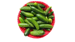 Огурцы корнишоны