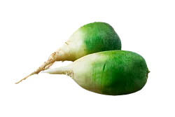 Редька зеленая