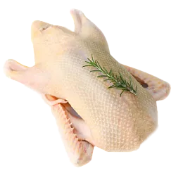 Тушка утенка