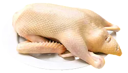 Тушка утки