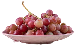 Виноград Кишмиш Армения