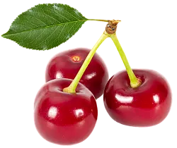 Вишня